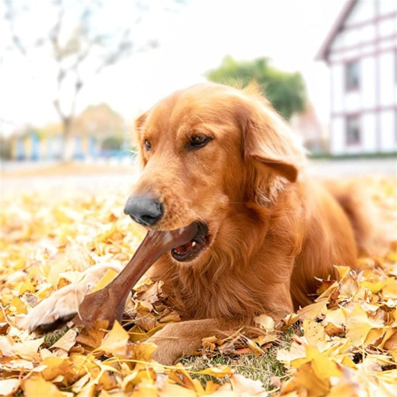 Natural Near Indestructible Dog Bone Toy