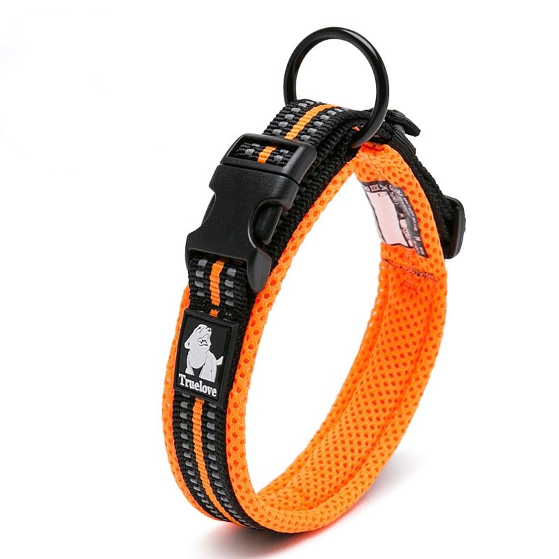 3M Reflective Nylon Padded Dog Collar