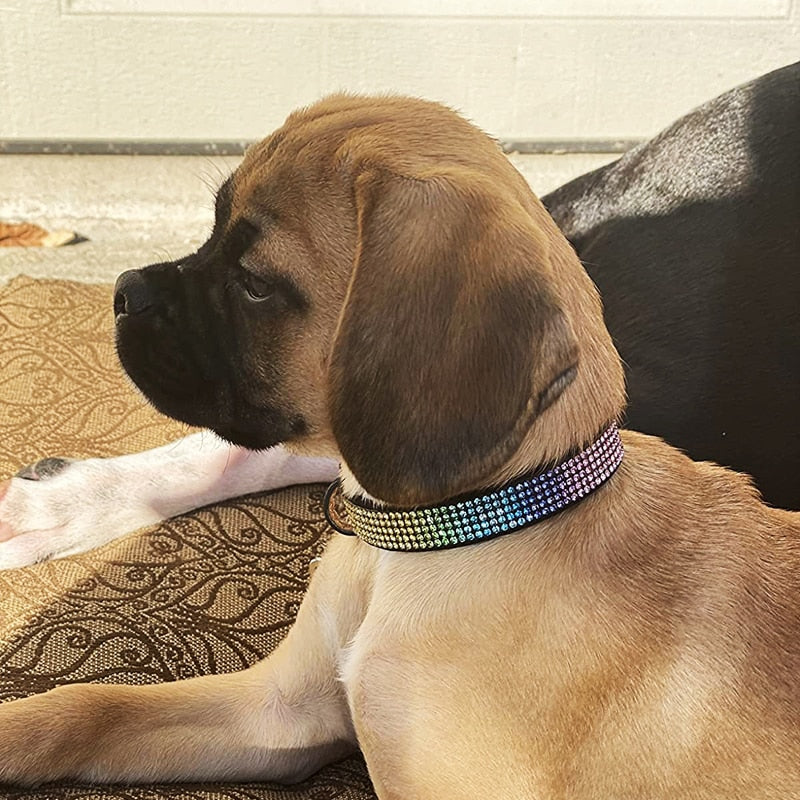 Suede Leather Rhinestone Dog Collar