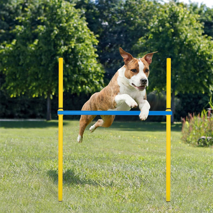 Dog Agility Training Obstacle Course Kit