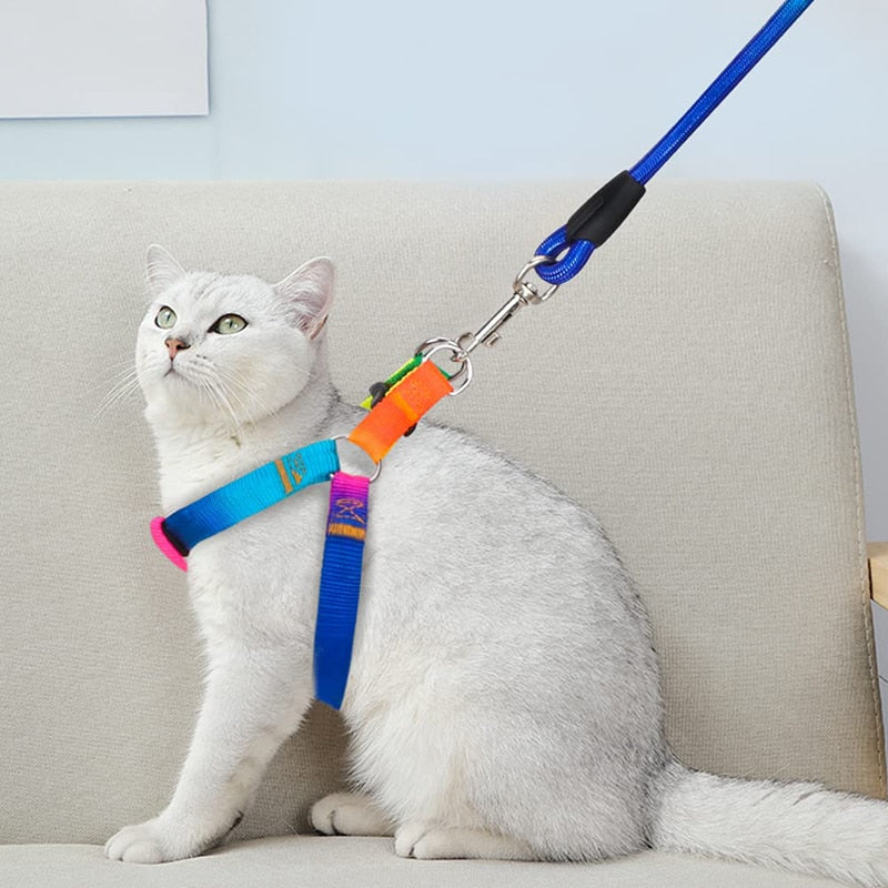 Rainbow No Pull Dog Harness Leash Set