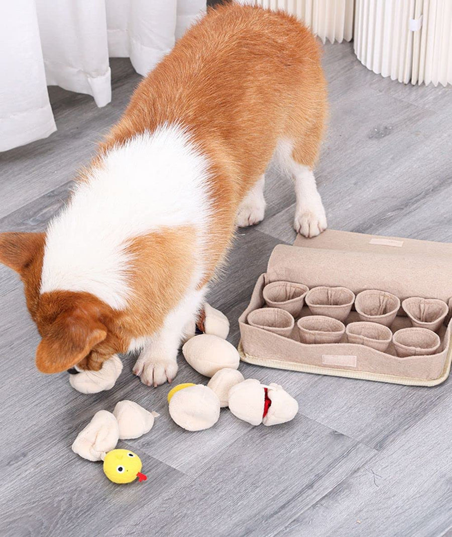 Plush Eggs Dog Snuffle Toy