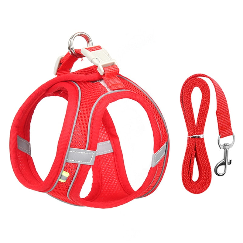 Escape Proof Cat Harness Leash