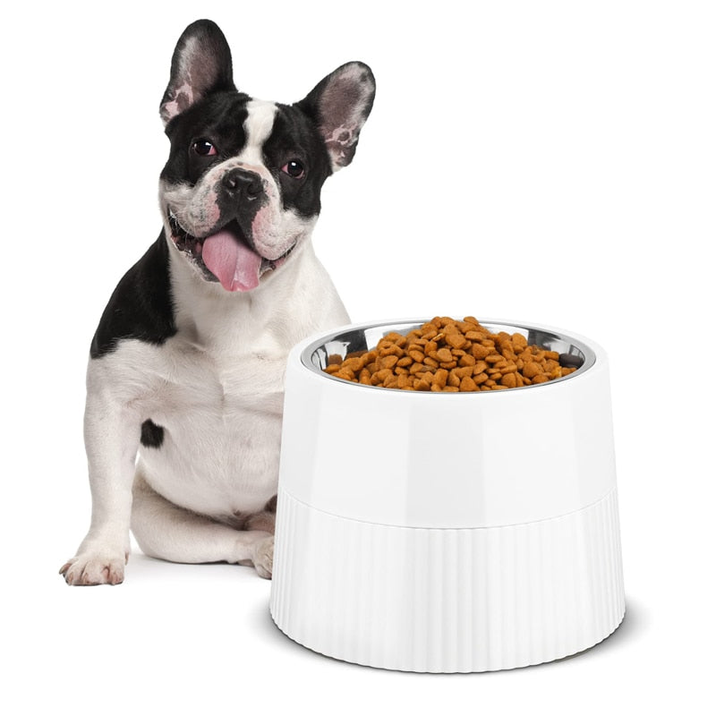 450ML Elevated Dog Bowl