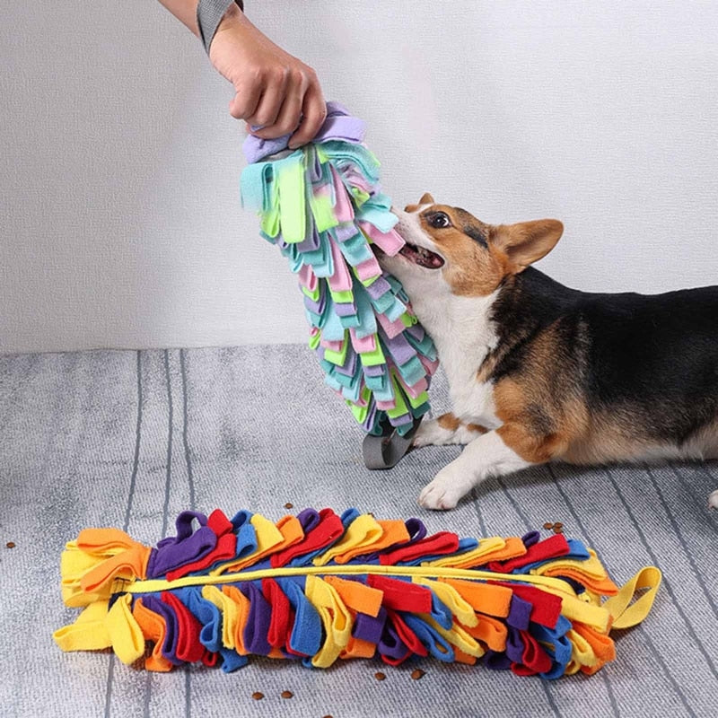 Interactive Sniffing Dog Snuffle Mat