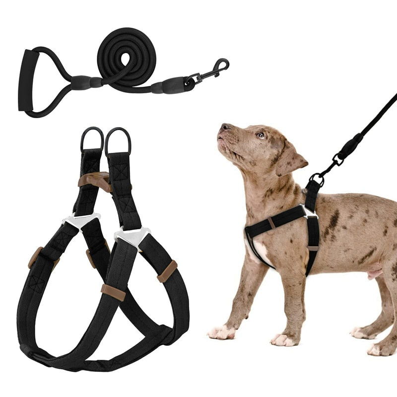 No Pull Dog Halter Harness Leash Set