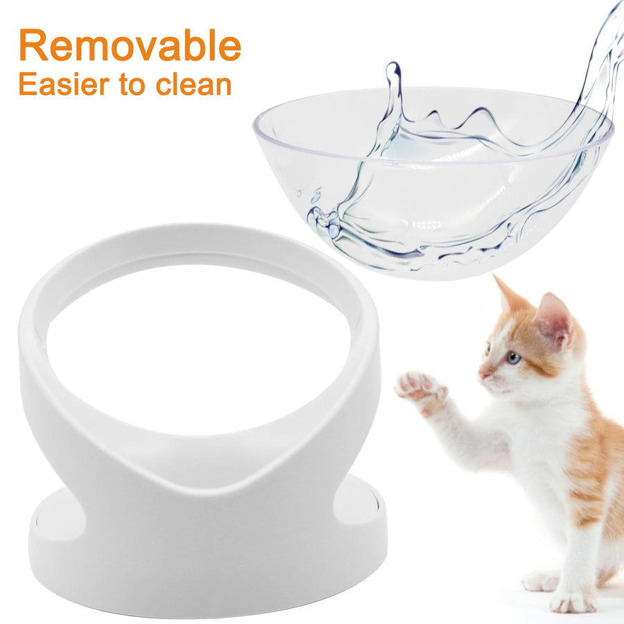 15° Tilt Pet Feeding Bowl