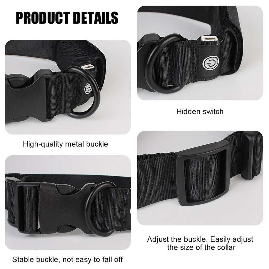 App Control Led Display Dog Collar