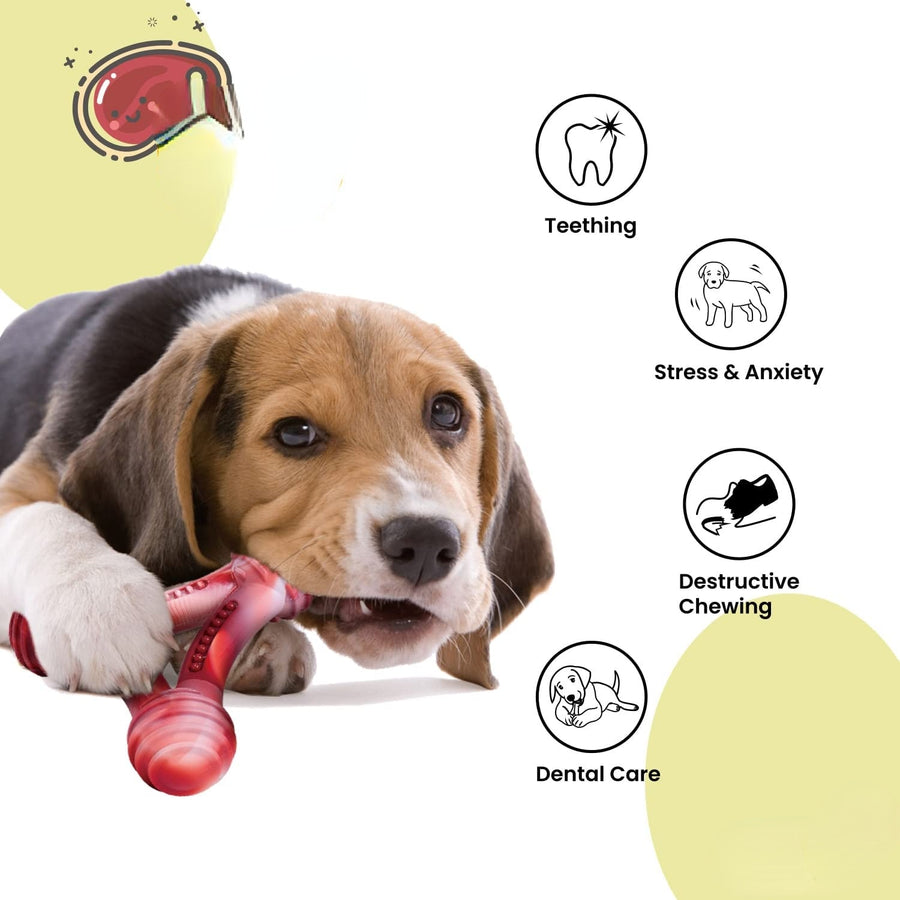 Tough Real Beef Scent Dog Chew Toy