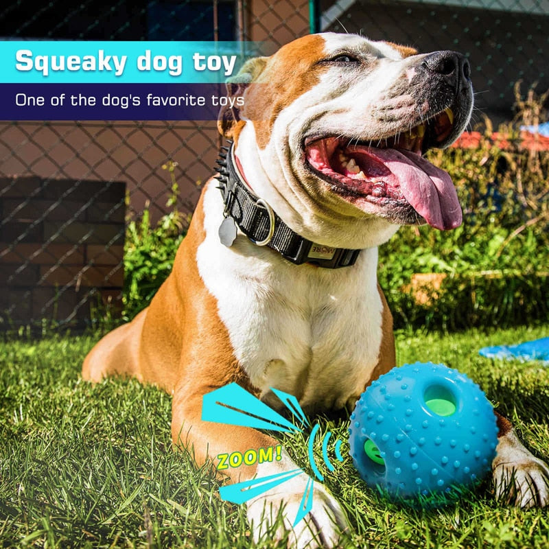 Durable Squeaky Dog Ball Rubber Toy