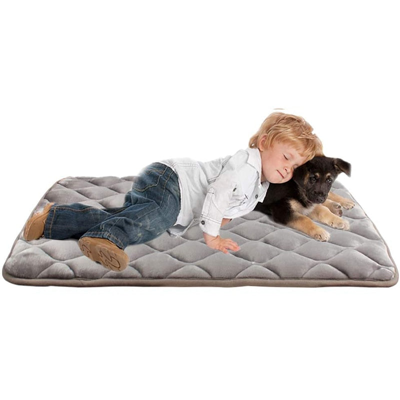 Anti Slip Bottom Dog Mat