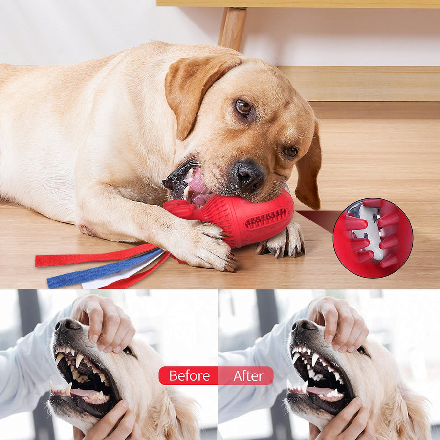 Interactive Bomb Shape Dog Toy