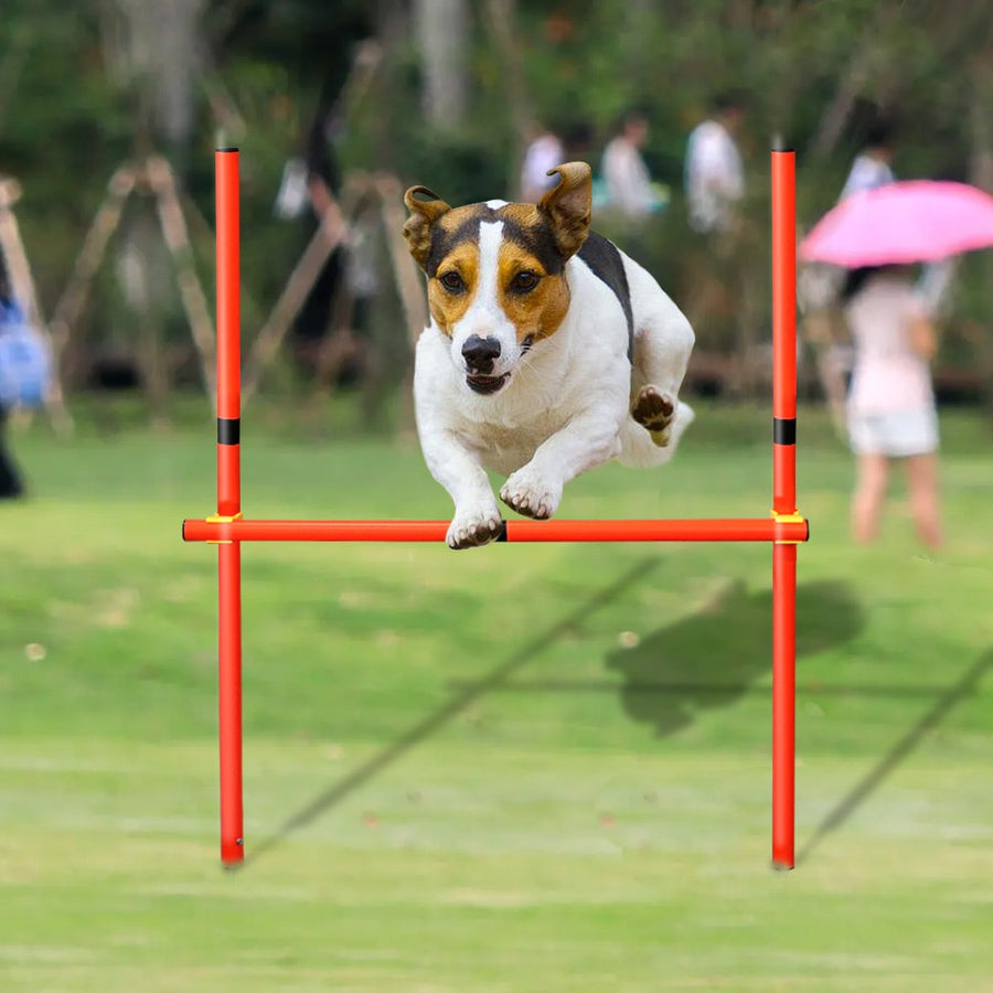 Dog Agility Hurdle Training Equipment