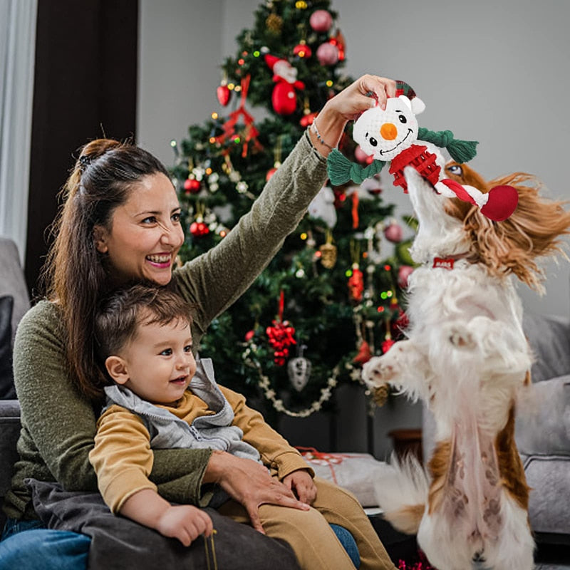 Cozy Christmas Dog Chew Toys