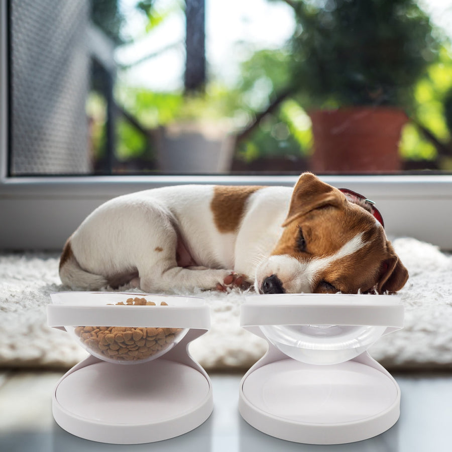 15° Tilt Pet Feeding Bowl