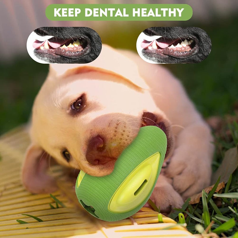 Tough Avocado Shape Dental Dog Toy