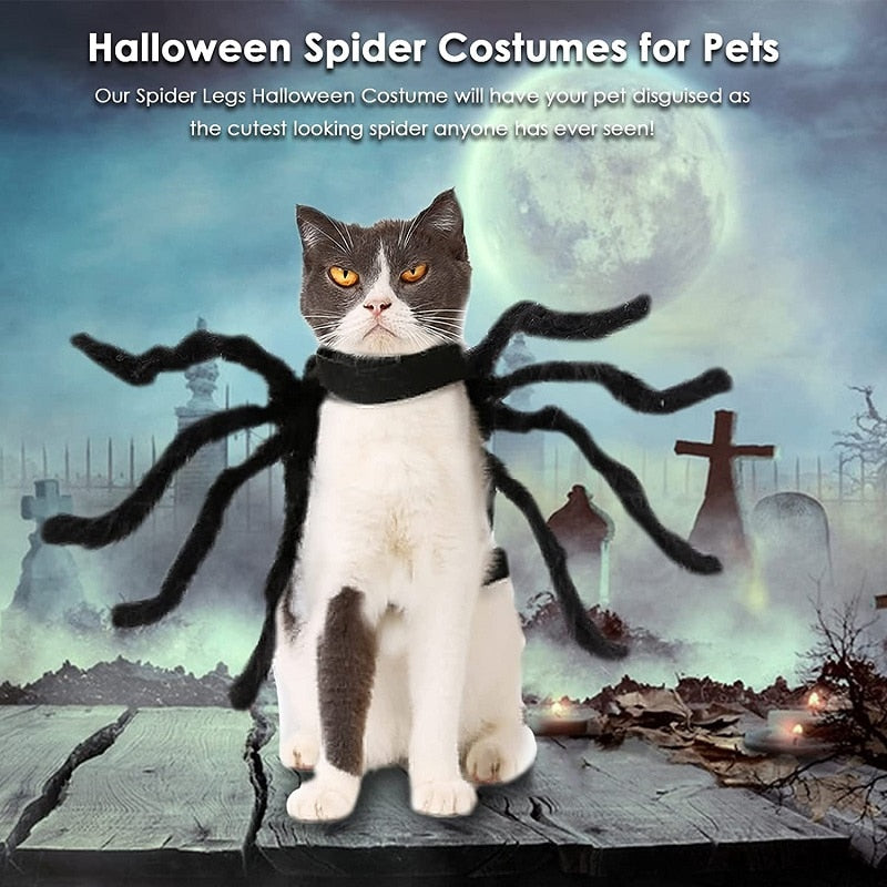 Halloween Spider Dogs Costume