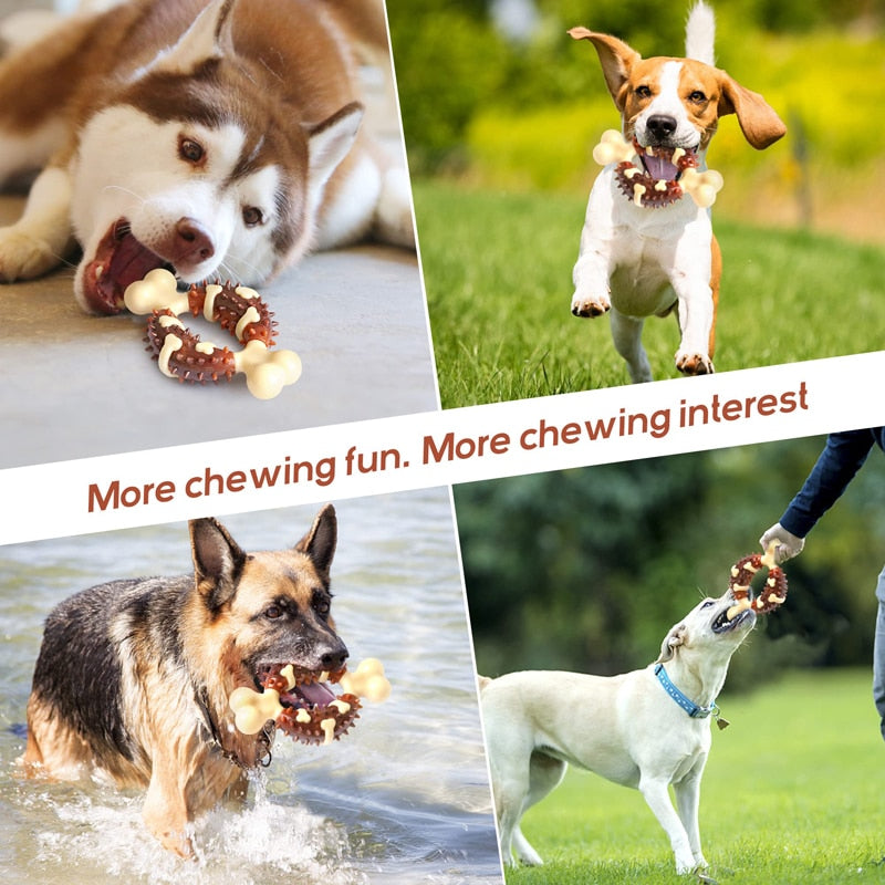 Dog Bone Nontoxic Chew Toys