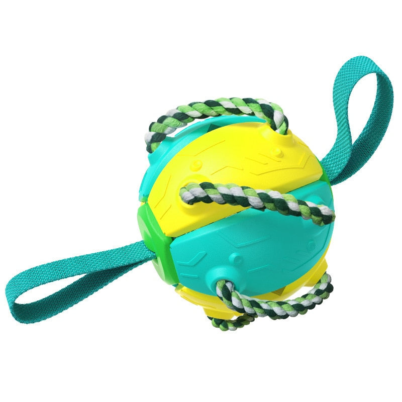 Training Agility Dog Ball Toy