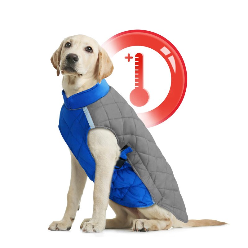 Winter Cold Weather Thick Dog Coat