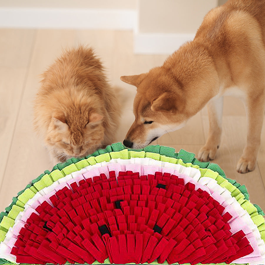 Watermelon Shape Dog Feed Mat