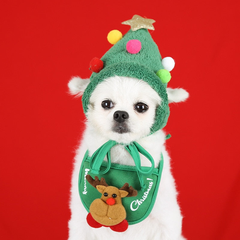 Dog Greeny  Christmas Hat