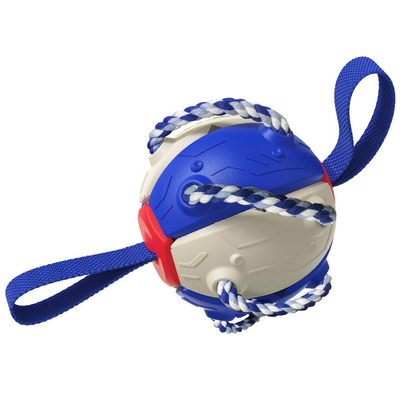 Training Agility Dog Ball Toy