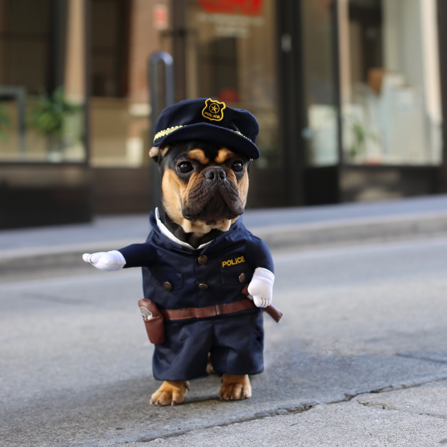 Creative Dog Policemen Costume